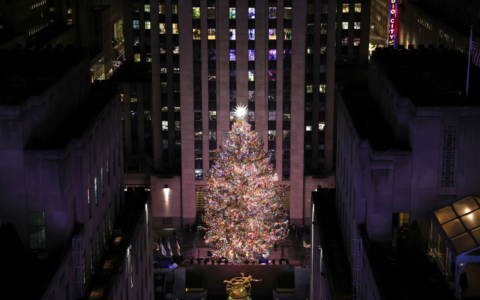 MEET THE 2023 80FOOTTALL ROCKEFELLER CENTER CHRISTMAS TREE Z93